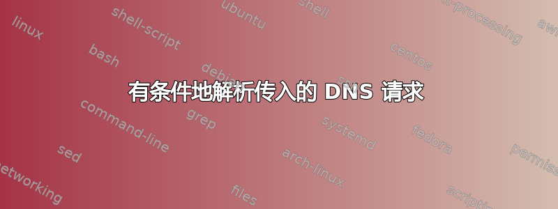 有条件地解析传入的 DNS 请求