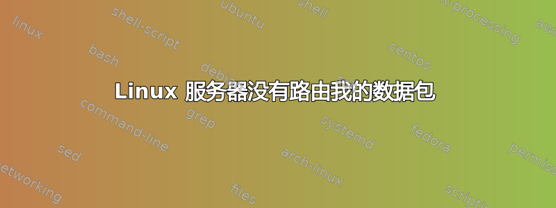 Linux 服务器没有路由我的数据包