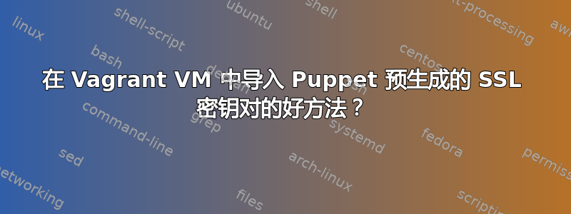 在 Vagrant VM 中导入 Puppet 预生成的 SSL 密钥对的好方法？