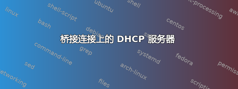 桥接连接上的 DHCP 服务器