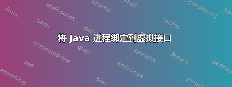 将 Java 进程绑定到虚拟接口