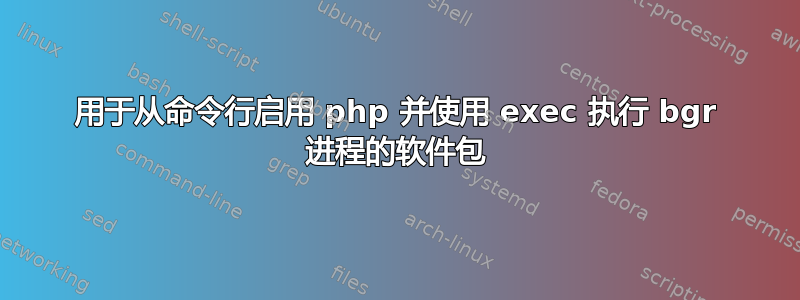 用于从命令行启用 php 并使用 exec 执行 bgr 进程的软件包