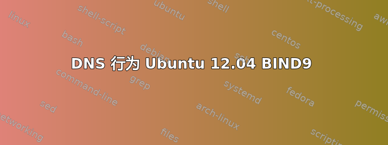 DNS 行为 Ubuntu 12.04 BIND9