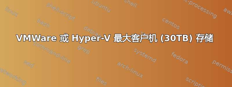 VMWare 或 Hyper-V 最大客户机 (30TB) 存储