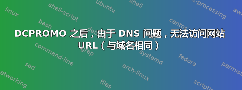 DCPROMO 之后，由于 DNS 问题，无法访问网站 URL（与域名相同）