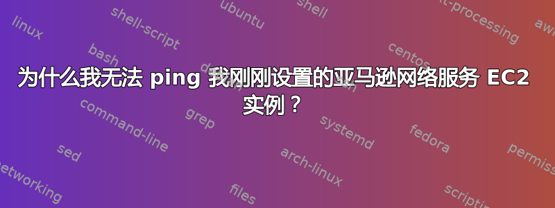 为什么我无法 ping 我刚刚设置的亚马逊网络服务 EC2 实例？