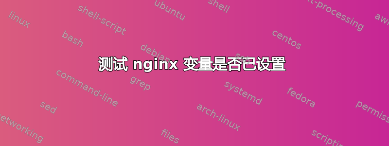 测试 nginx 变量是否已设置