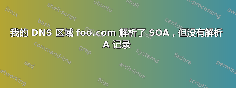 我的 DNS 区域 foo.com 解析了 SOA，但没有解析 A 记录