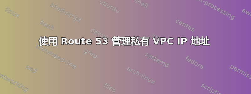 使用 Route 53 管理私有 VPC IP 地址