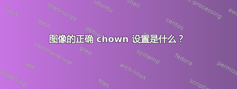 图像的正确 chown 设置是什么？