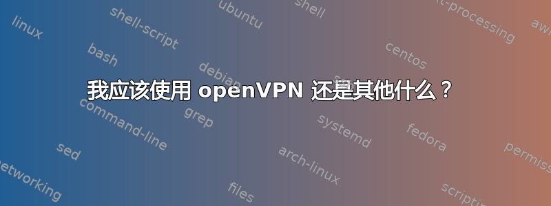 我应该使用 openVPN 还是其他什么？