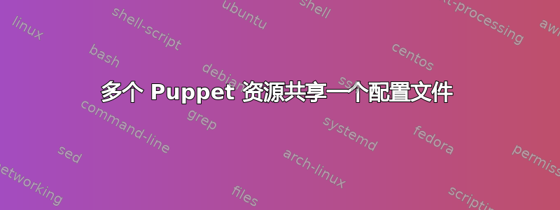 多个 Puppet 资源共享一个配置文件