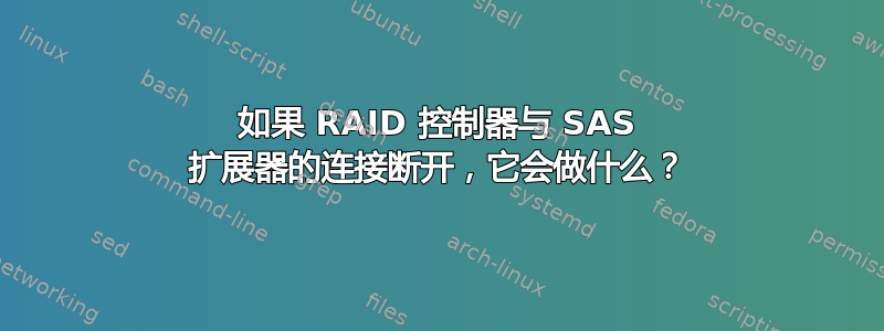 如果 RAID 控制器与 SAS 扩展器的连接断开，它会做什么？