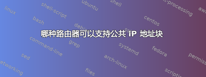 哪种路由器可以支持公共 IP 地址块