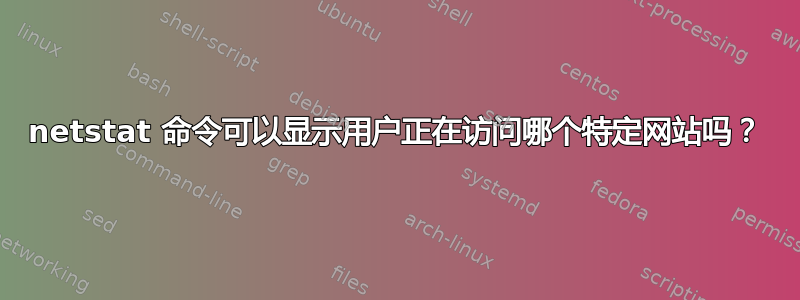 netstat 命令可以显示用户正在访问哪个特定网站吗？