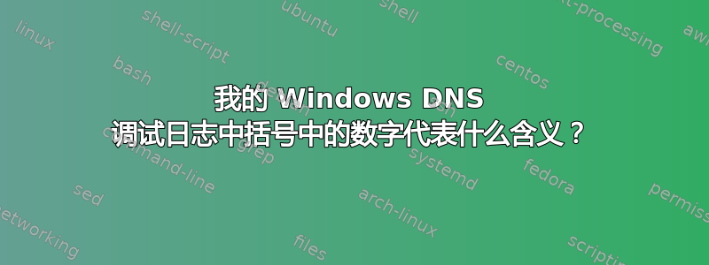 我的 Windows DNS 调试日志中括号中的数字代表什么含义？