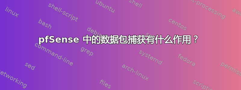 pfSense 中的数据包捕获有什么作用？