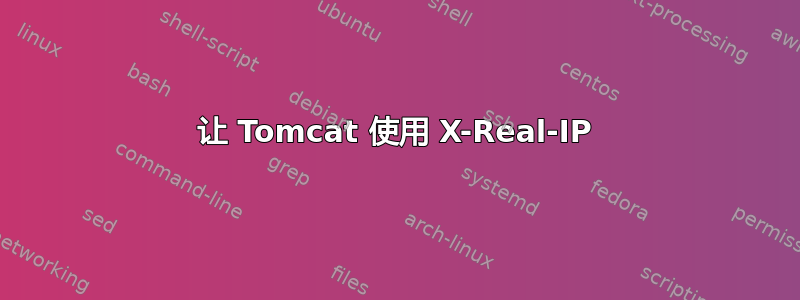 让 Tomcat 使用 X-Real-IP