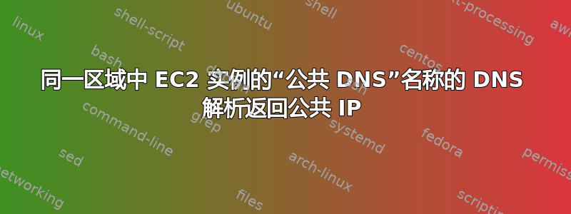 同一区域中 EC2 实例的“公共 DNS”名称的 DNS 解析返回公共 IP