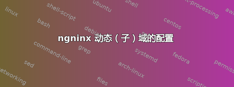 ngninx 动态（子）域的配置