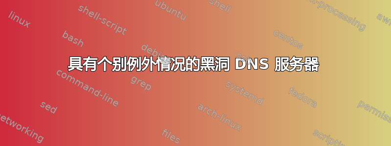 具有个别例外情况的黑洞 DNS 服务器