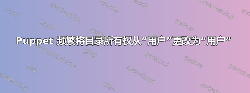 Puppet 频繁将目录所有权从“用户”更改为“用户”