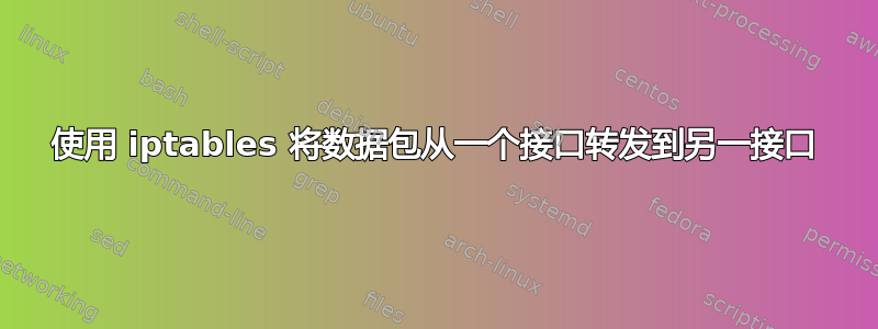 使用 iptables 将数据包从一个接口转发到另一接口