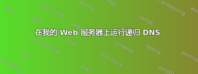 在我的 Web 服务器上运行递归 DNS