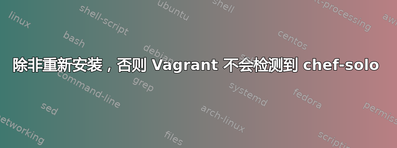 除非重新安装，否则 Vagrant 不会检测到 chef-solo