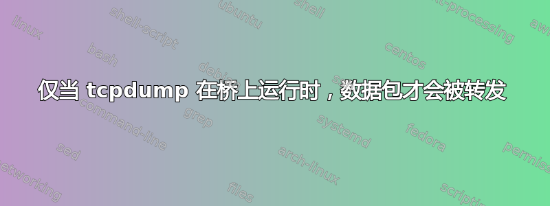 仅当 tcpdump 在桥上运行时，数据包才会被转发