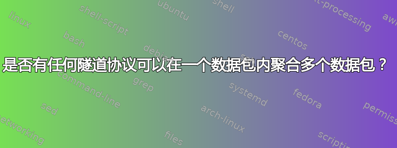 是否有任何隧道协议可以在一个数据包内聚合多个数据包？