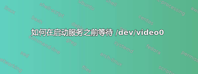 如何在启动服务之前等待 /dev/video0