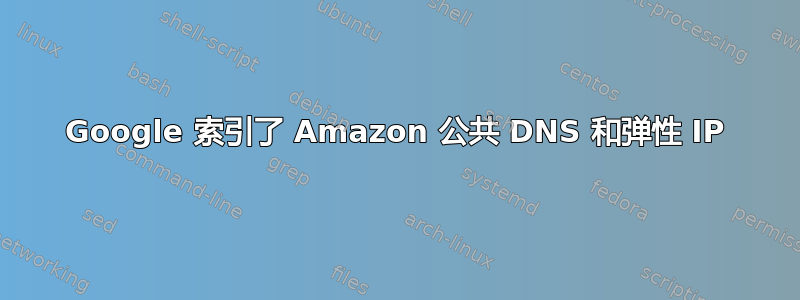 Google 索引了 Amazon 公共 DNS 和弹性 IP