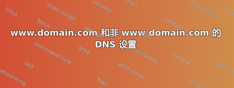 www.domain.com 和非 www domain.com 的 DNS 设置