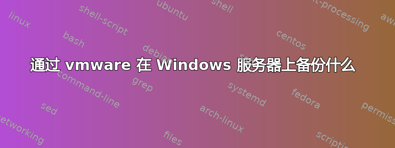 通过 vmware 在 Windows 服务器上备份什么 