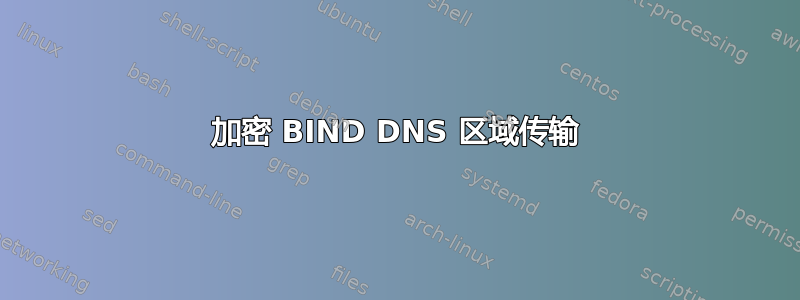 加密 BIND DNS 区域传输