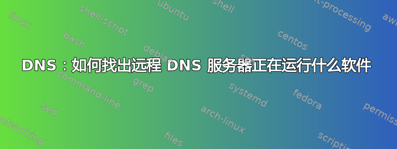 DNS：如何找出远程 DNS 服务器正在运行什么软件