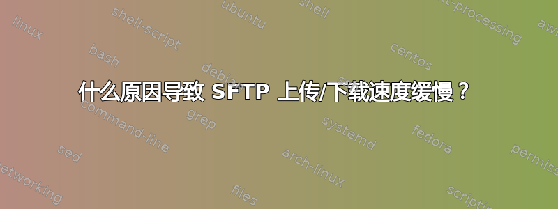 什么原因导致 SFTP 上传/下载速度缓慢？