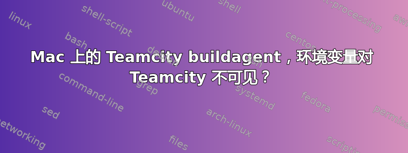 Mac 上的 Teamcity buildagent，环境变量对 Teamcity 不可见？