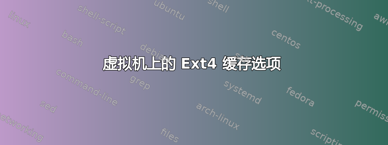 虚拟机上的 Ext4 缓存选项