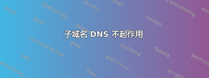 子域名 DNS 不起作用