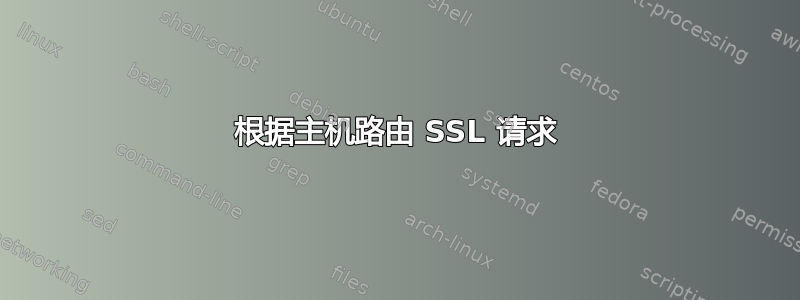 根据主机路由 SSL 请求