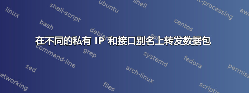 在不同的私有 IP 和接口别名上转发数据包