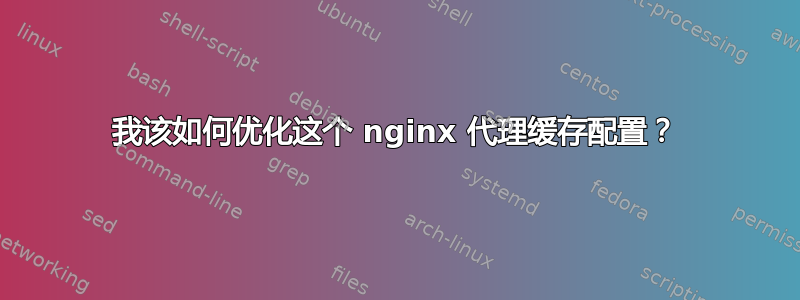 我该如何优化这个 nginx 代理缓存配置？