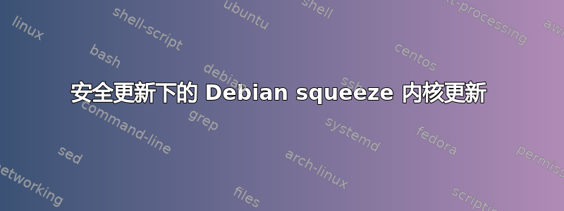 安全更新下的 Debian squeeze 内核更新