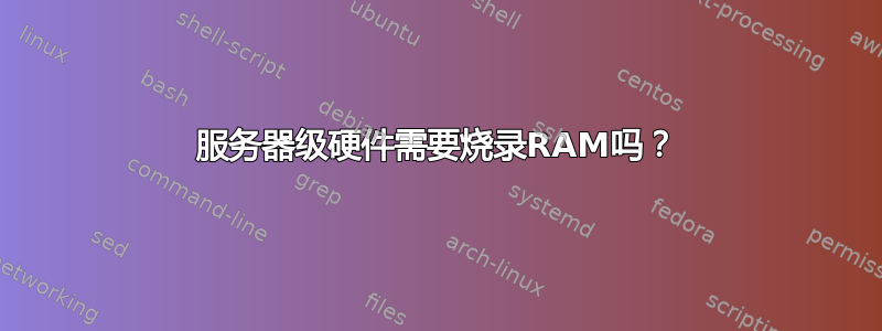 服务器级硬件需要烧录RAM吗？