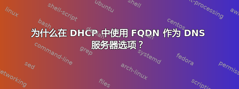 为什么在 DHCP 中使用 FQDN 作为 DNS 服务器选项？