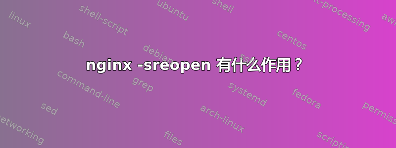 nginx -sreopen 有什么作用？