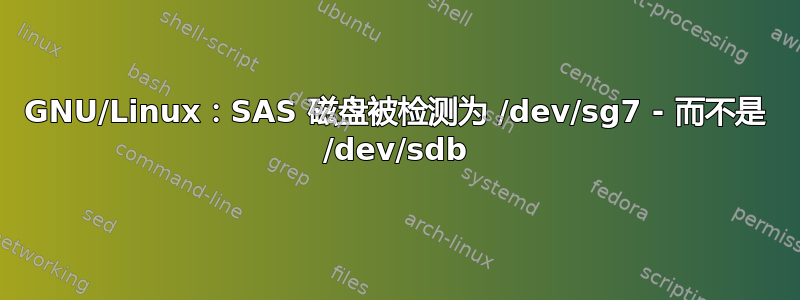 GNU/Linux：SAS 磁盘被检测为 /dev/sg7 - 而不是 /dev/sdb