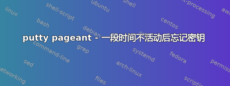 putty pageant - 一段时间不活动后忘记密钥